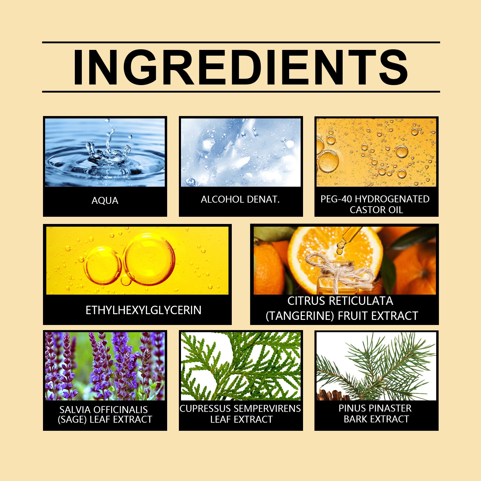 Roxelis Valentine's Day Men's Cologne Fragrance Men's Subtle Fresh Charm Fragrance Lasting Fragrance Dating Couple Fragrance