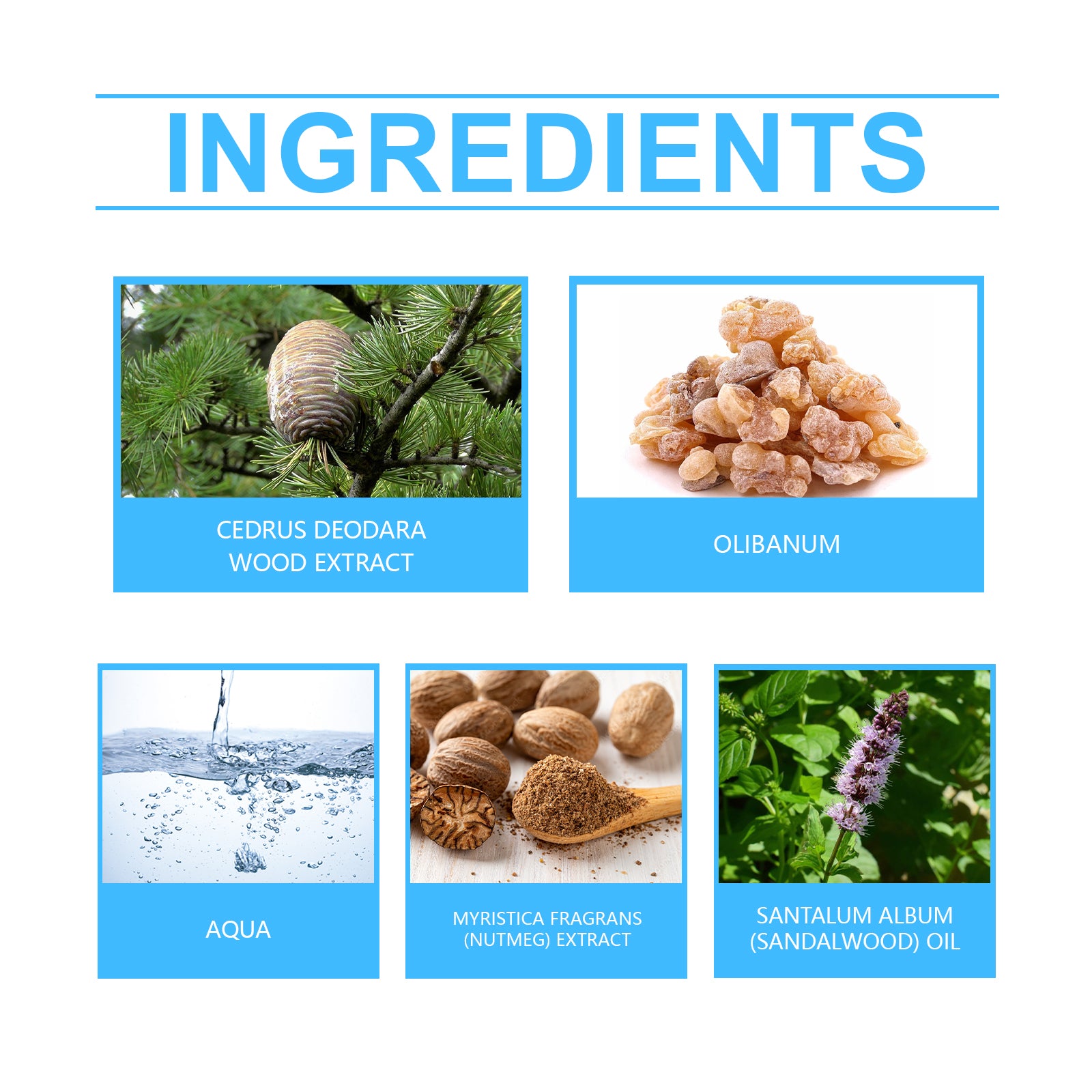 Roxelis Cedar Arabian Fragrance With Mild Fragrance And Long Lasting Fragrance Exudes A Charming Light Dating Portable Perfume